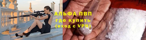 СК Белокуриха