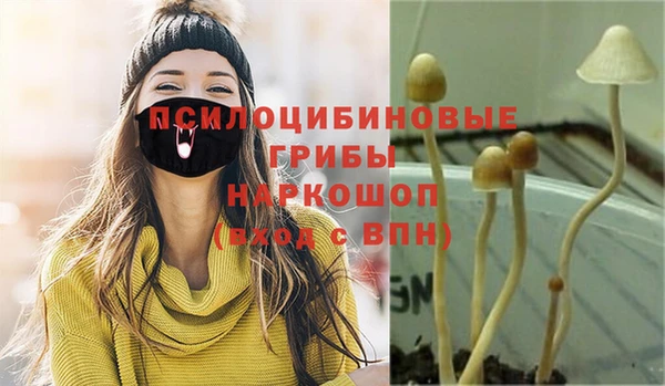 СК Белокуриха