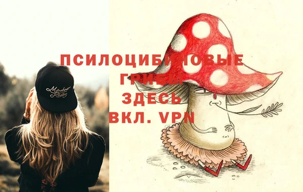 СК Белокуриха